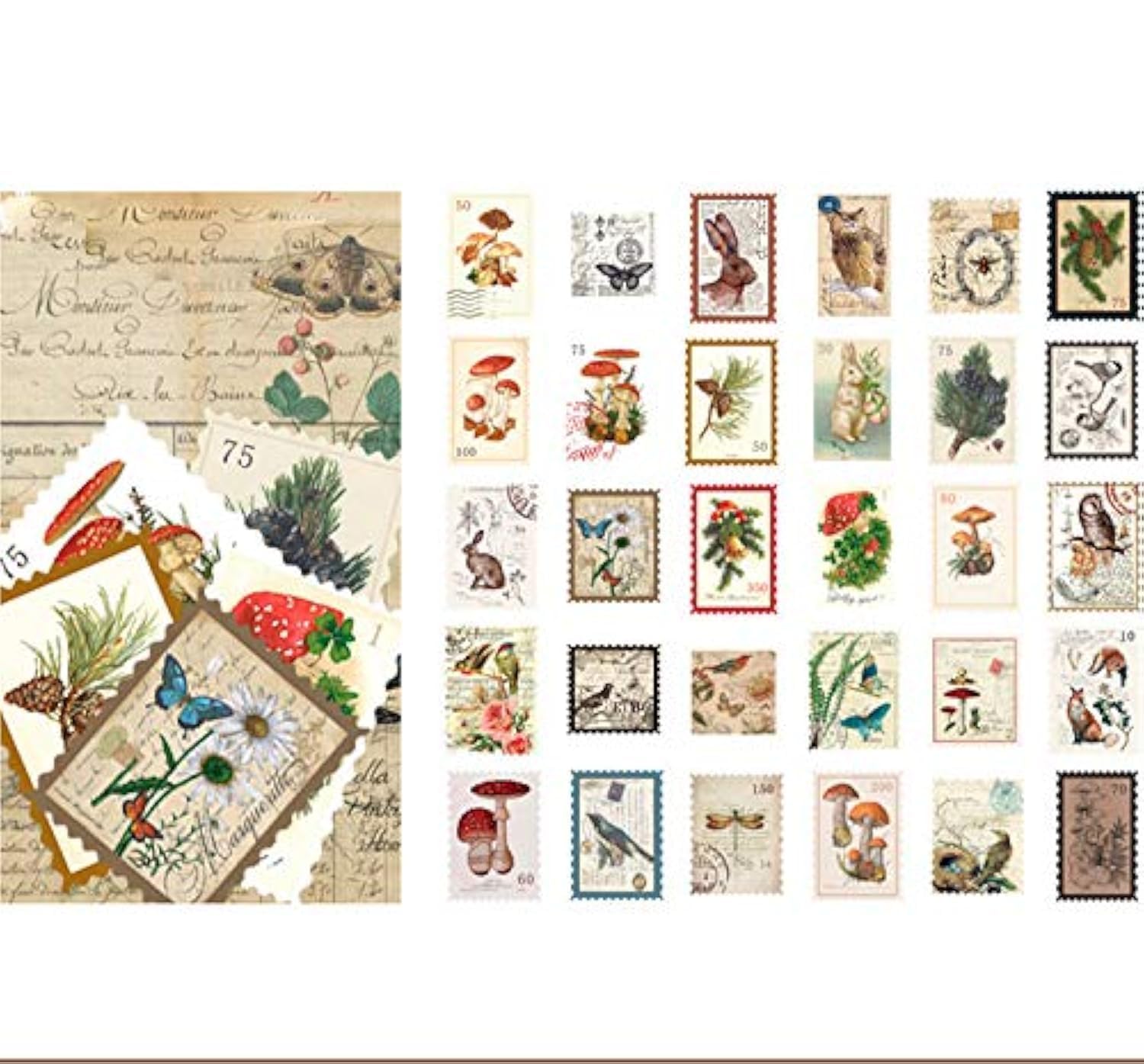 HASTHIP 60-Piece Sticker Set Retro Plant Flower Diary Stickers Suitable for Planners DIY Crafts Decoration Diary 30 Pieces Design 2 Pieces Each (Animals(senlinyangxiang)) HASTHIP 60-Piece Sticker Set Retro Plant Flower Diary Stickers Suitable for Planners DIY Crafts Decoration Diary 30 Pieces Design 2 Pieces Each (Animals(senlinyangxiang))